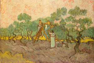 La conservazione dell’olio