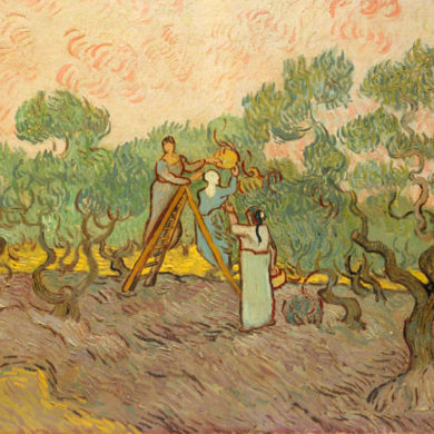 La conservazione dell’olio